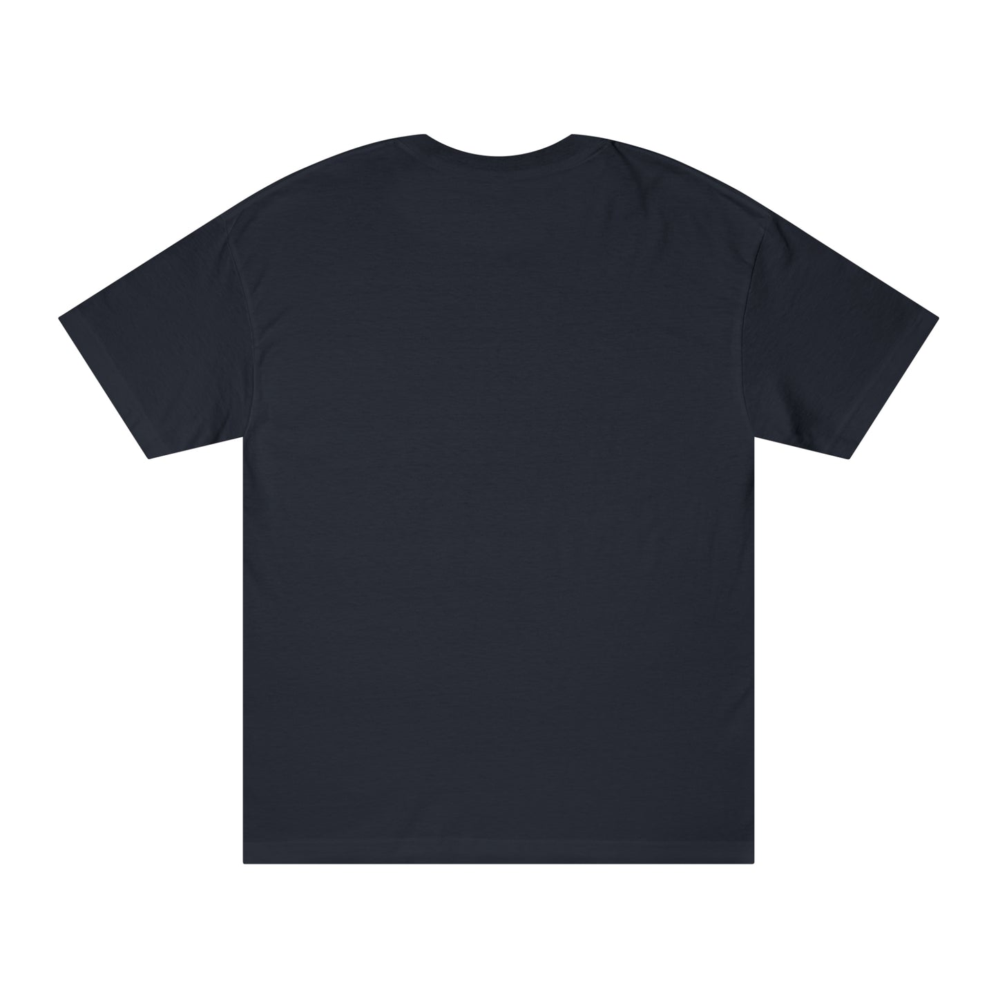 The Fool is easy to influence but impossible to convince Unisex Classic Tee